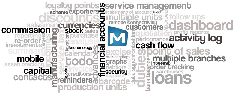 CRM and ERP Custom Development for Growing Jordan Businesses