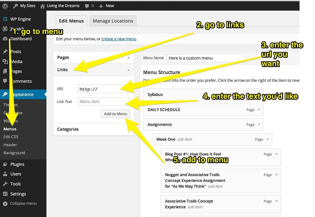 From WordPress to Custom Laravel: When Jordan Sites Should Upgrade