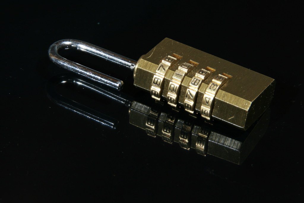 Unlocking Business Growth: The Role of Custom Software Solutions in MENA